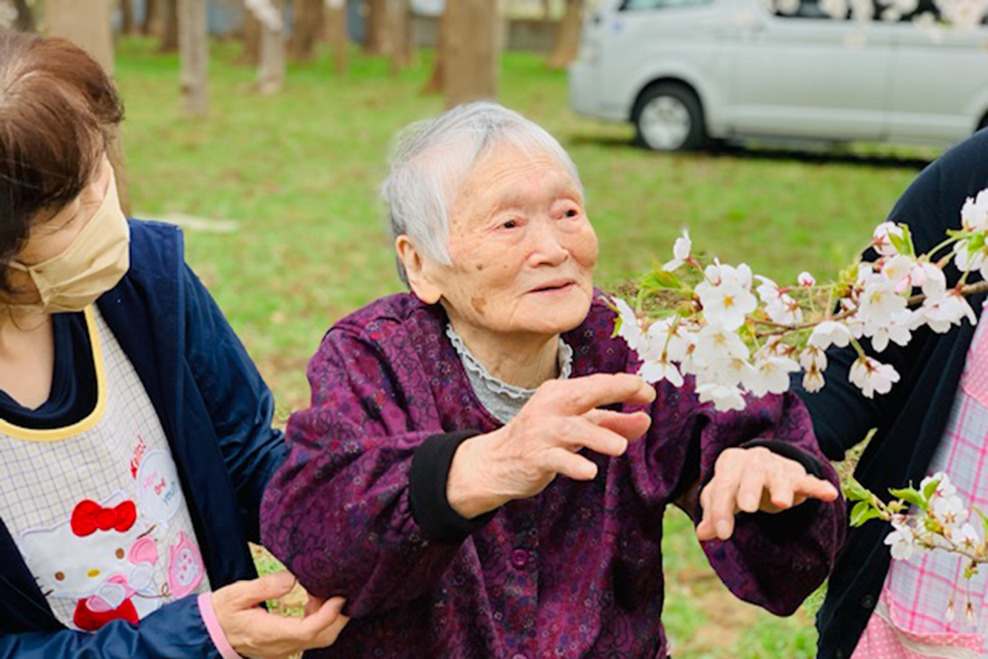 枝に咲いた満開の桜を見て笑顔の高齢者と支える介護士